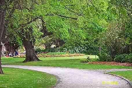 cp3.JPG (32704 bytes)
