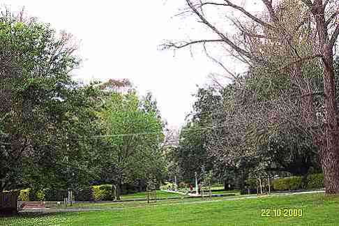 hd5.JPG (41867 bytes)